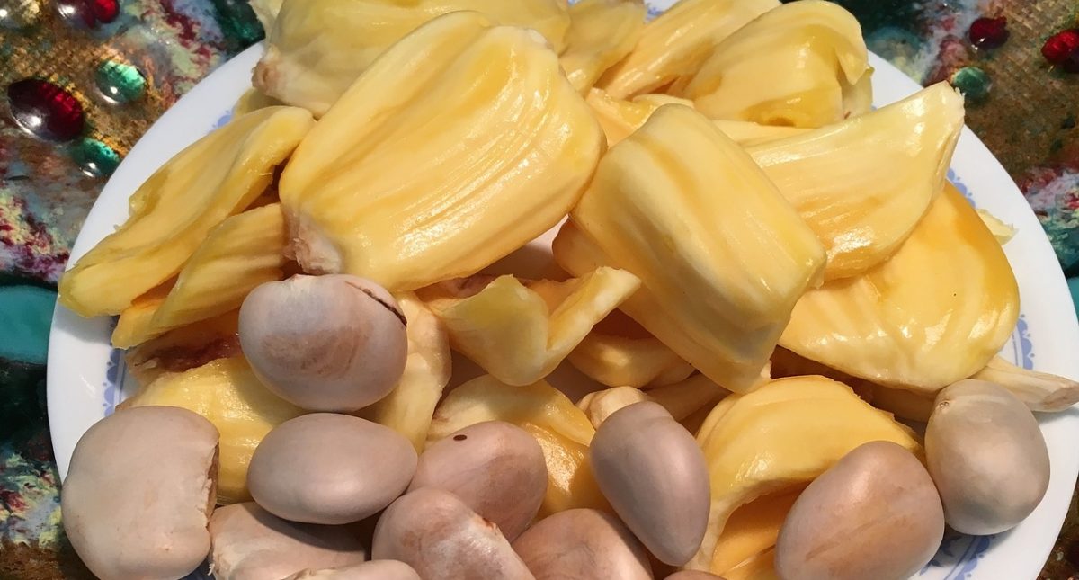 Beberapa Manfaat Bagus Untuk Kesehatan Jika Mengonsumsi Biji Nangka