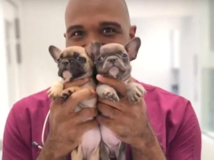 Pentingnya Menjaga Kesehatan Dan Merawat Peliharaan Kesayangan Kalian